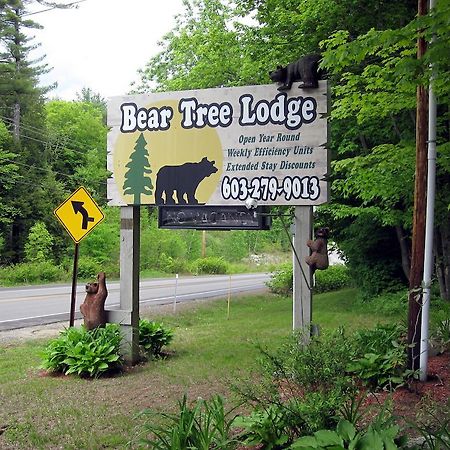 Bear Tree Lodge 위어스비치 외부 사진