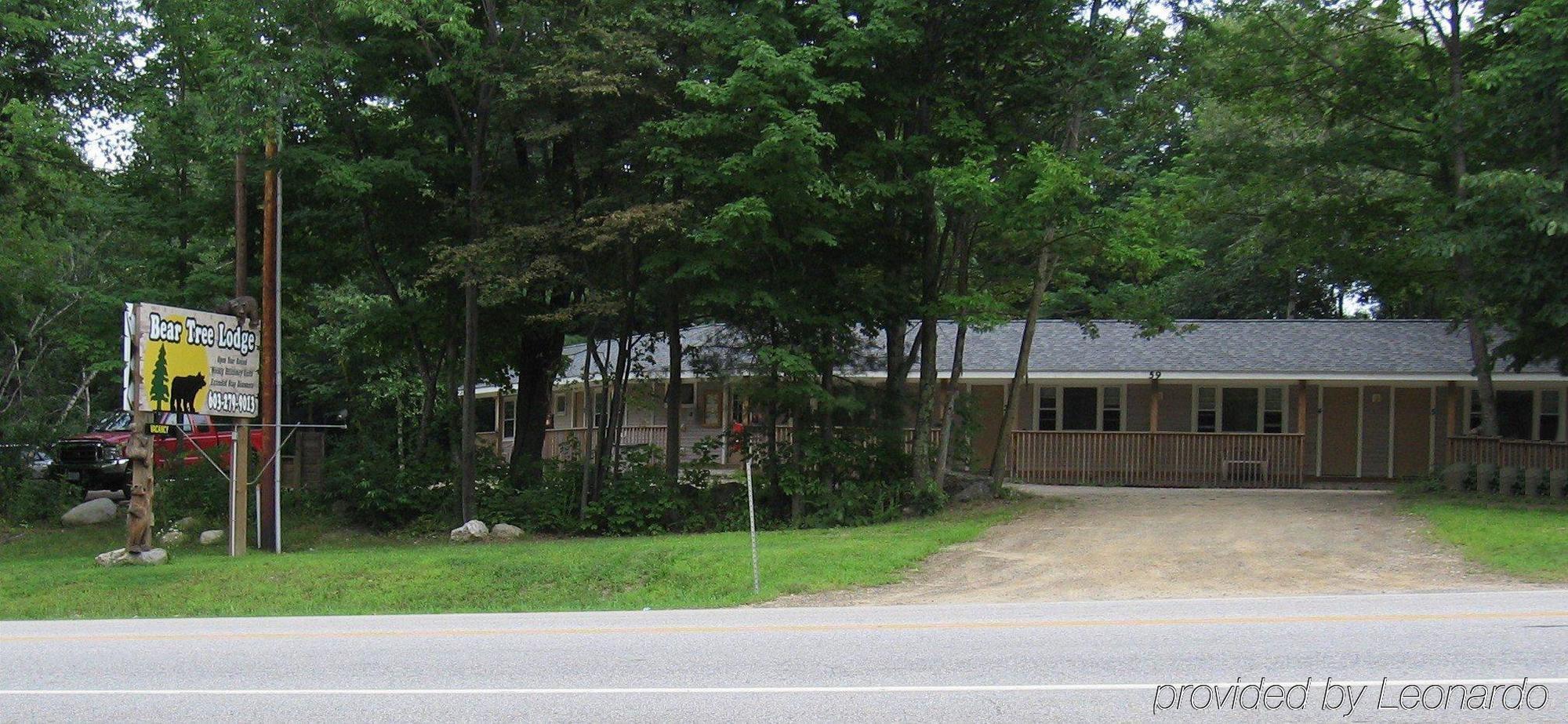 Bear Tree Lodge 위어스비치 외부 사진