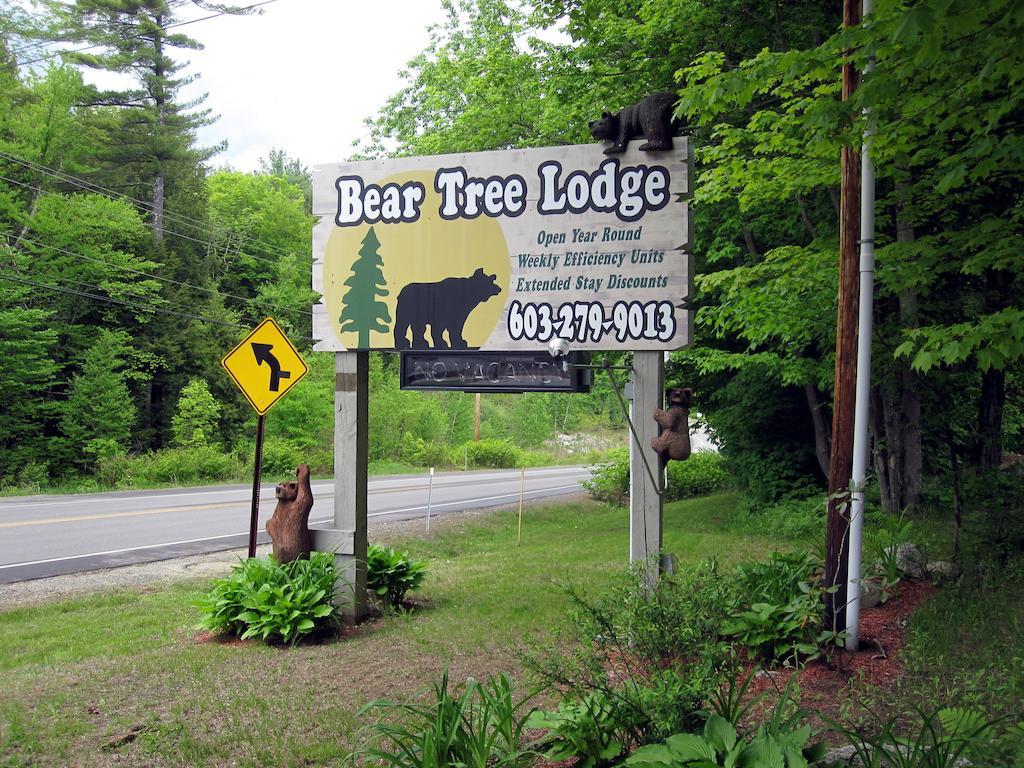 Bear Tree Lodge 위어스비치 외부 사진